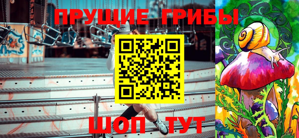 Псилоцибиновые грибы Psilocybe Калач-на-Дону